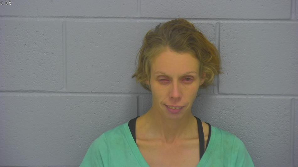 Arrest photo of SARA PATTERSON