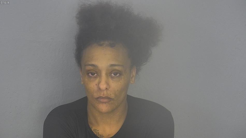 Arrest photo of SARA NITZSCHE