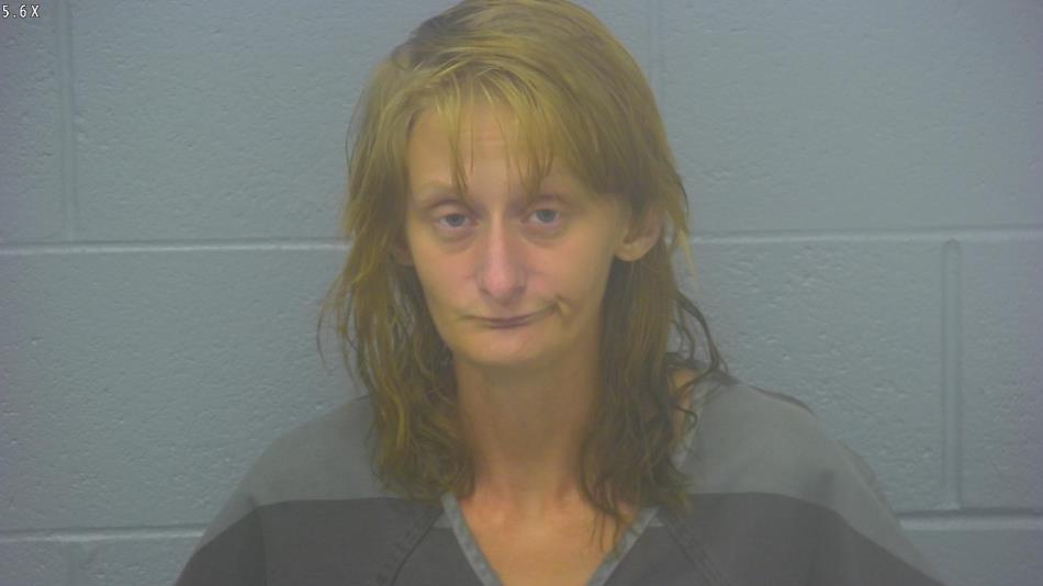 Arrest photo of SARAH COBB