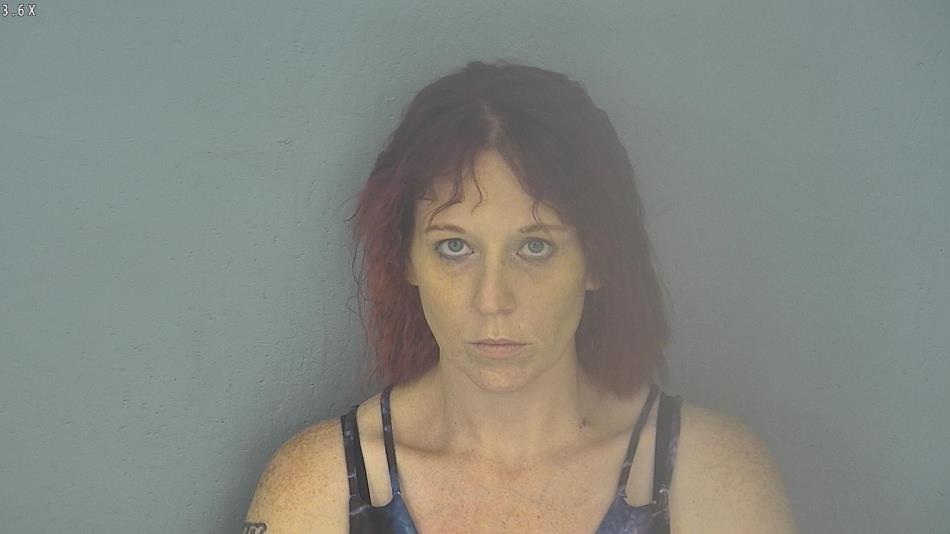 Arrest photo of SARAH GIBSON