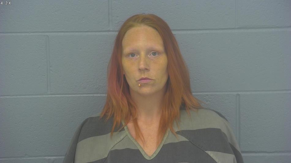 Arrest photo of SARAH GIBSON