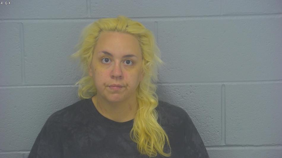 Arrest photo of SARAH SANCHEZ