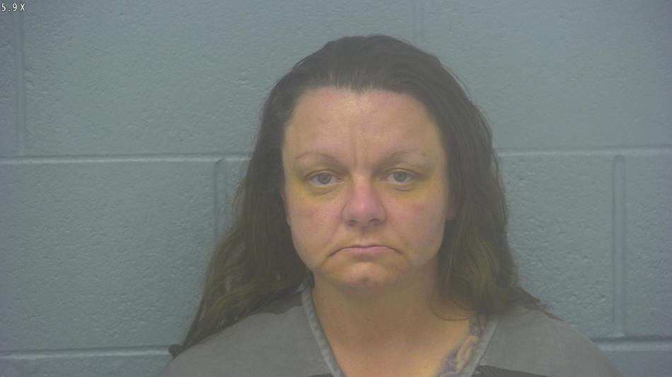 Arrest Photo of SARAH OWENS, arrested on 12/31/2024