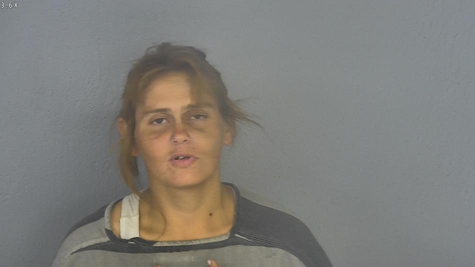 Arrest photo of SARAH KING