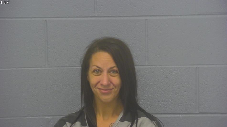 Arrest photo of SARAH HORNBECK