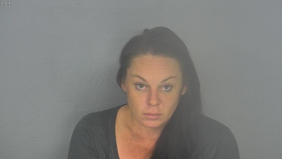 Arrest photo of SARAH LOEHR