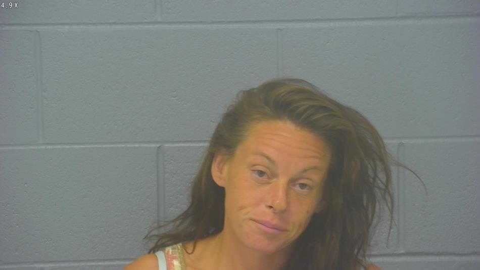 Arrest photo of SARAH LOEHR