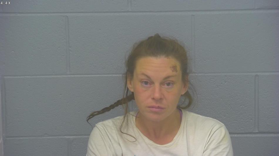 Arrest photo of SARAH LOEHR