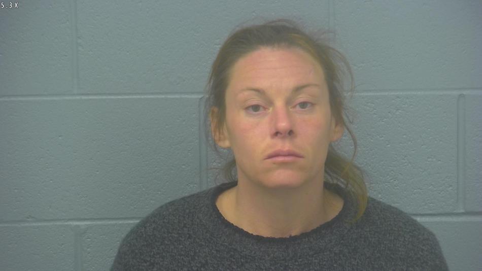 Arrest photo of SARAH LOEHR