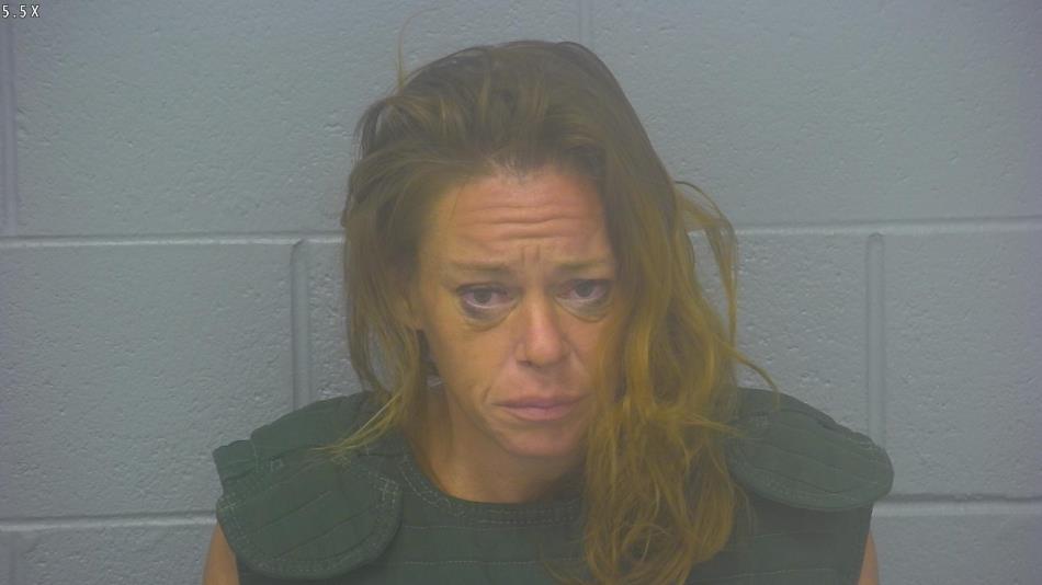 Arrest Photo of SARAH LOEHR, arrested on 9/20/2024