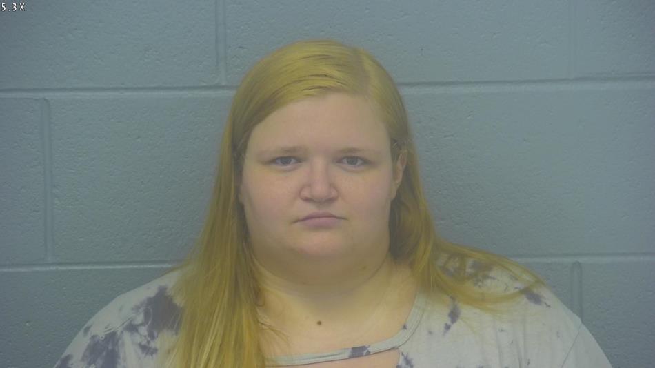 Arrest Photo of SARAH DEWITT, arrested on 11/25/2024