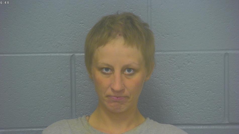 Arrest photo of SAVANA MENIGHAN