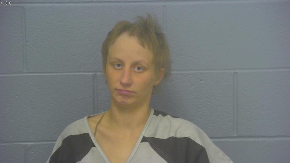 Arrest photo of SAVANA MENIGHAN