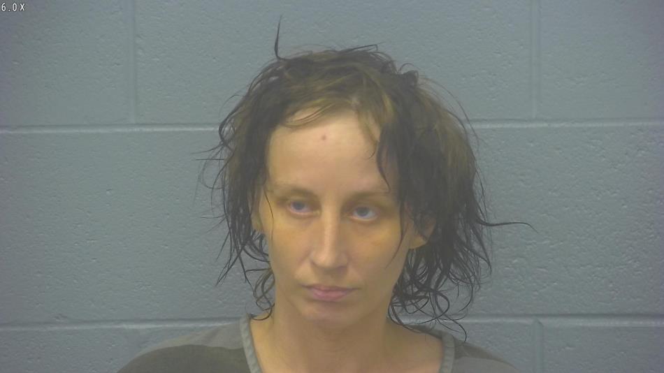 Arrest photo of SAVANA MENIGHAN