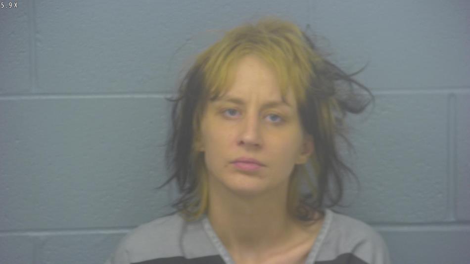 Arrest Photo of SAVANA MENIGHAN, arrested on 11/17/2024