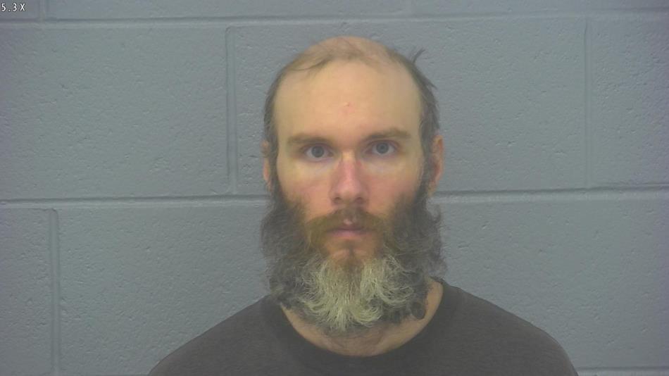 Arrest photo of SEAN HORTON