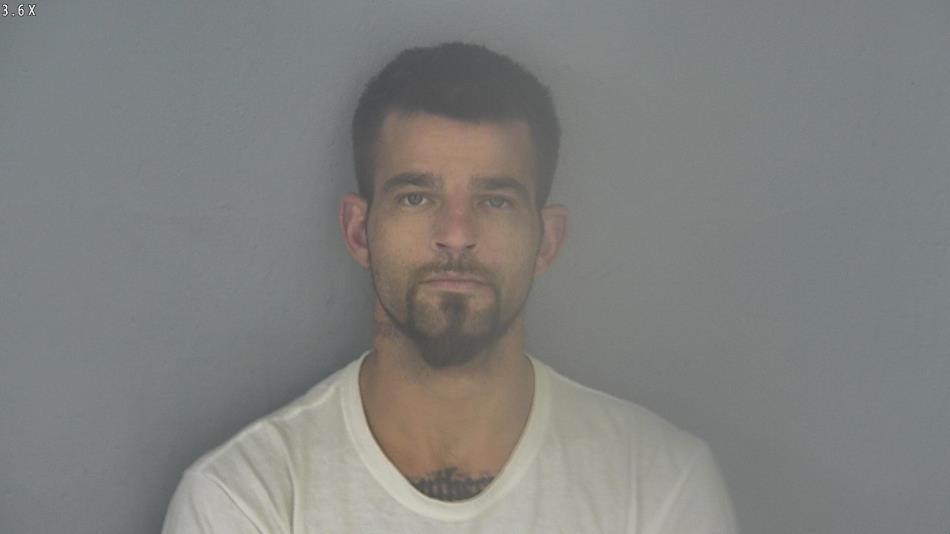 Arrest photo of SEAN HUMENIK