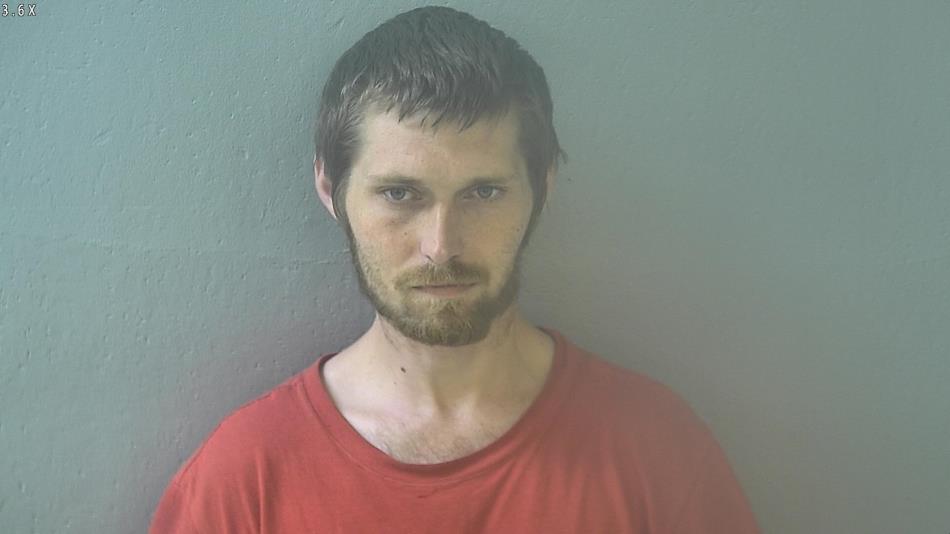 Arrest photo of SEAN FALK