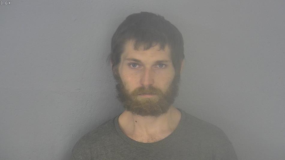 Arrest photo of SEAN FALK