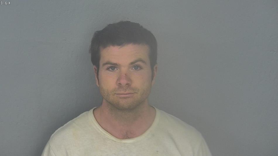Arrest photo of SEBASTIAN STANEK