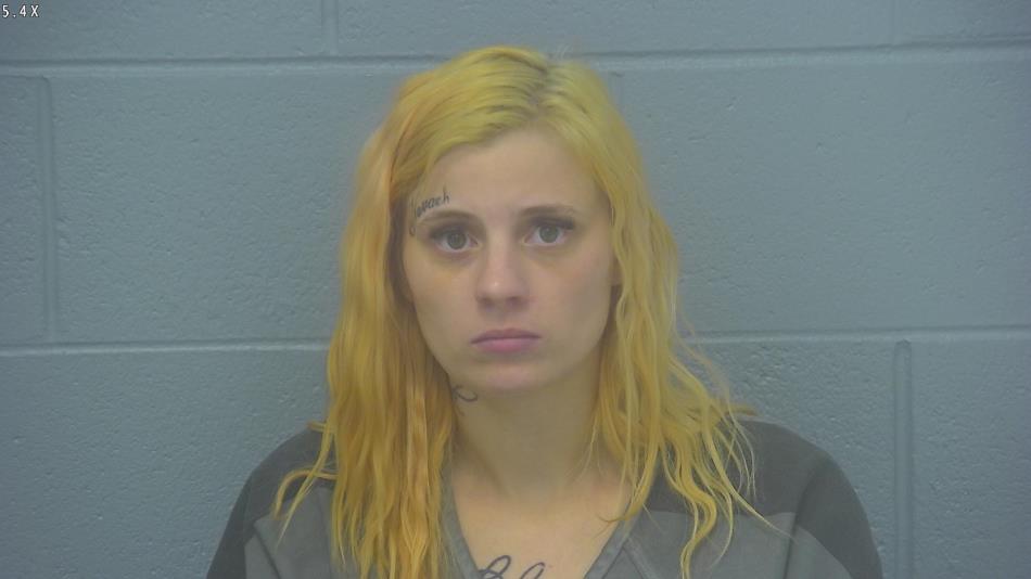 Arrest photo of SELENA MCKEE