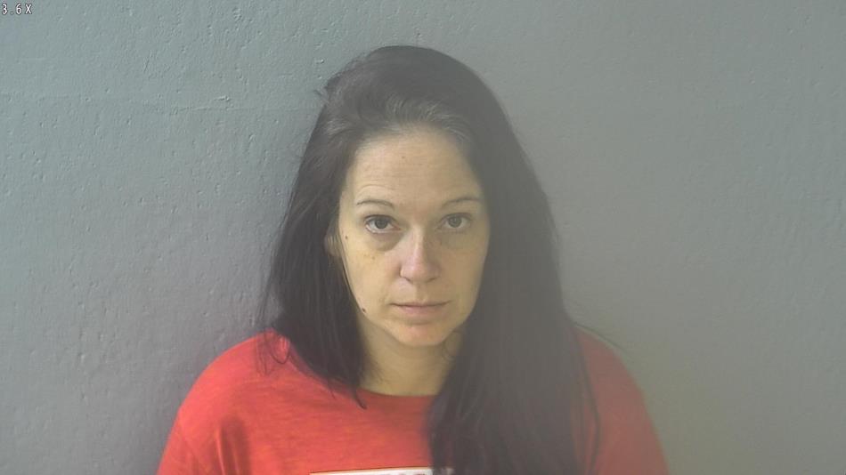 Arrest photo of SERENITY COFFER
