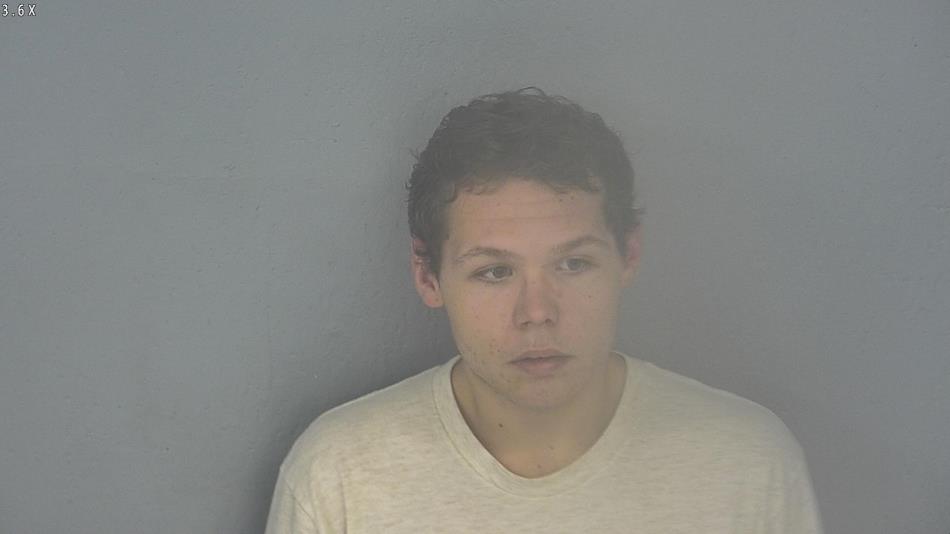 Arrest photo of SETH RIEVLEY