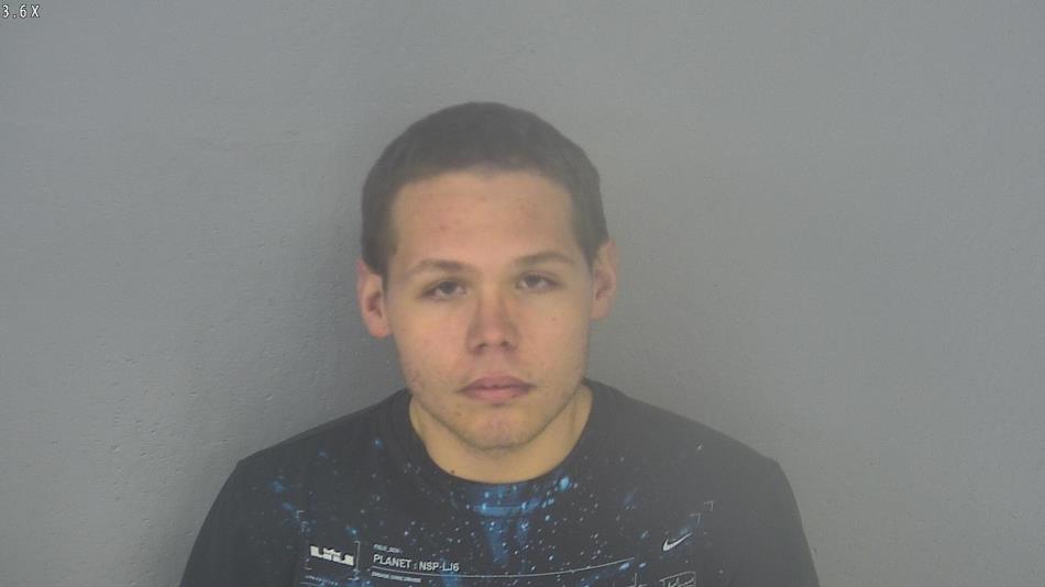 Arrest photo of SETH RIEVLEY