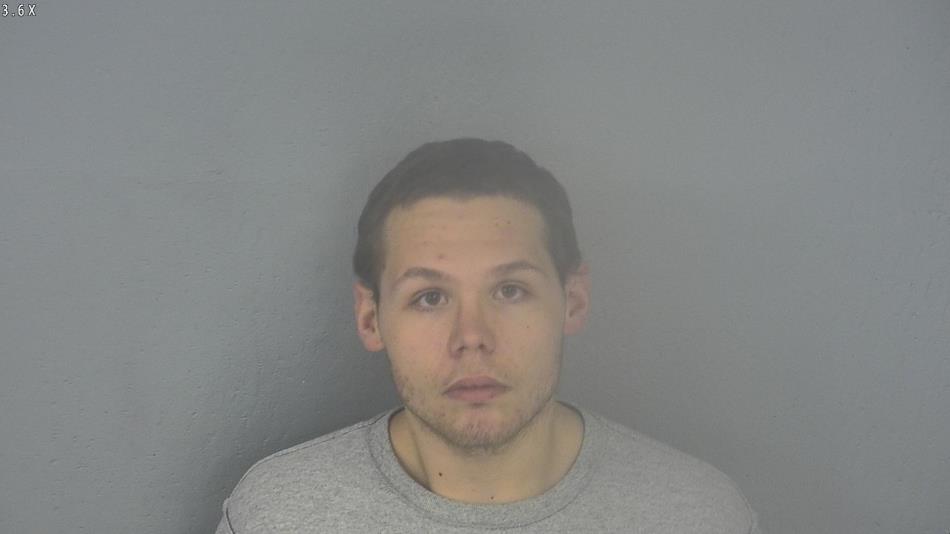 Arrest photo of SETH RIEVLEY