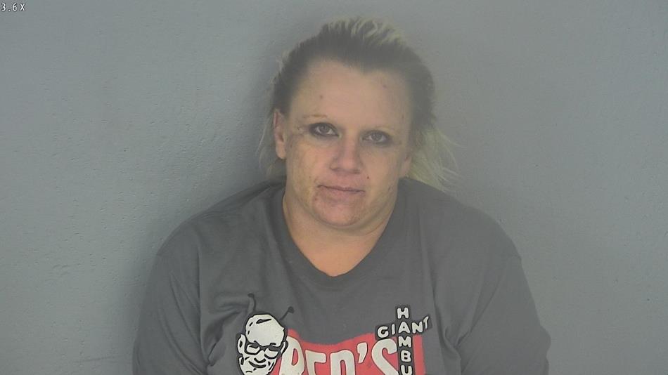 Arrest photo of SHANDI STINSON
