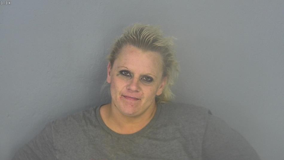 Arrest photo of SHANDI STINSON