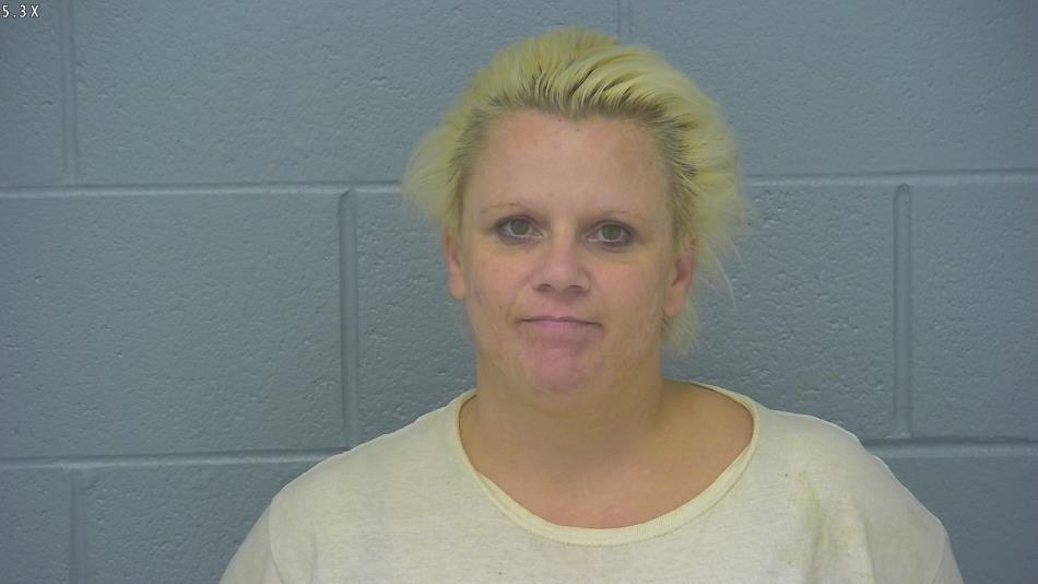 Arrest photo of SHANDI STINSON