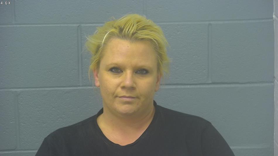 Arrest photo of SHANDI STINSON