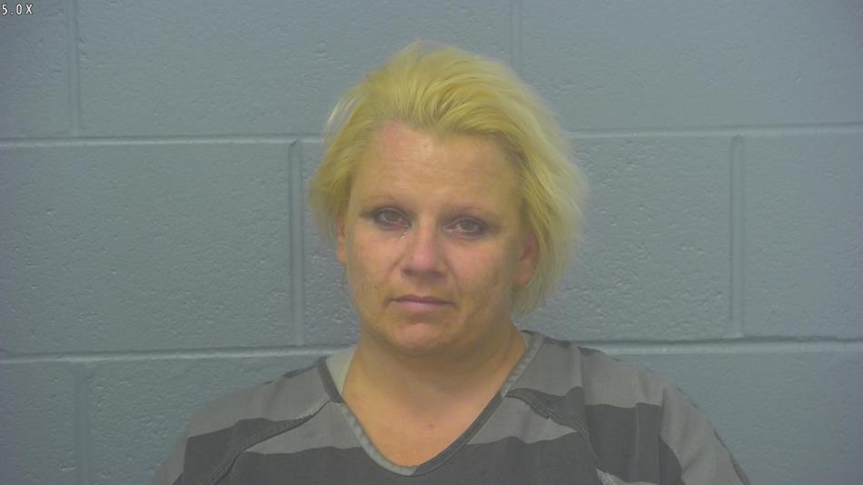 Arrest Photo of SHANDI STINSON, arrested on 4/14/2024