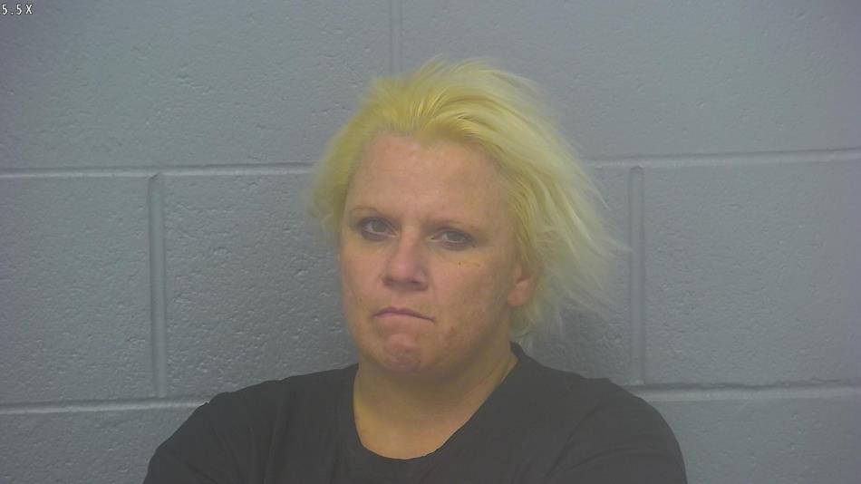 Arrest photo of SHANDI STINSON