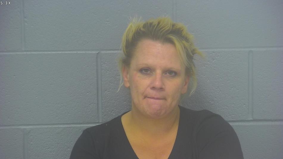 Arrest photo of SHANDI STINSON
