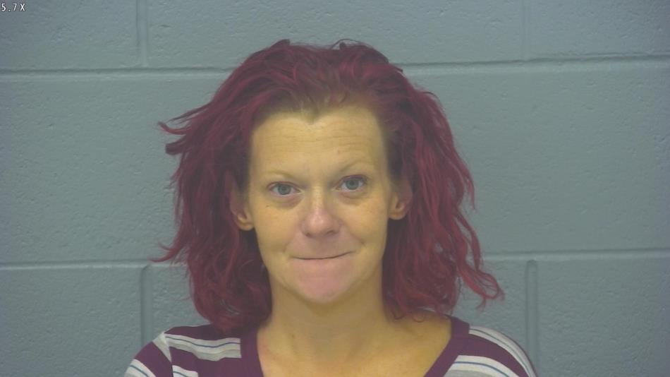 Arrest photo of SHANDI CLAYPOOL