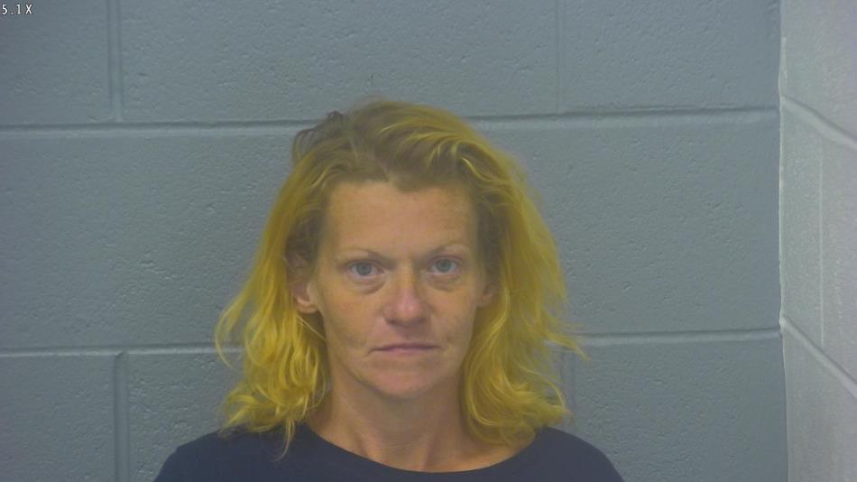 Arrest photo of SHANDI CLAYPOOL