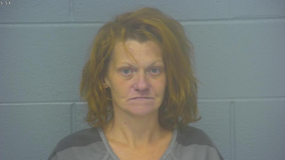 Arrest photo of SHANDI CLAYPOOL