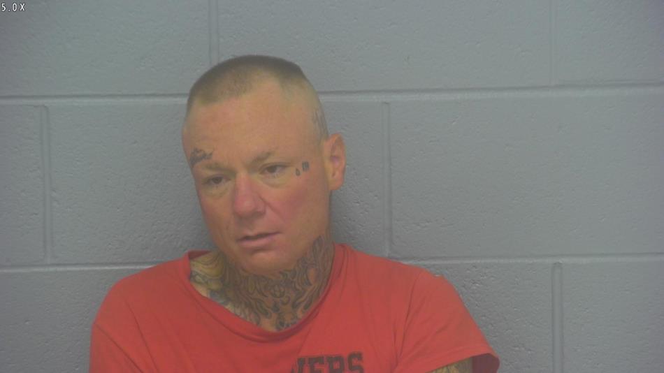 Arrest Photo of SHANE BROWN in Greene County, MO.