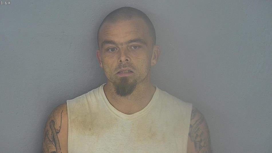 Arrest photo of SHANE CARGLE