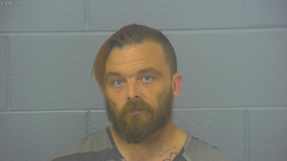 Arrest photo of SHANE CARGLE