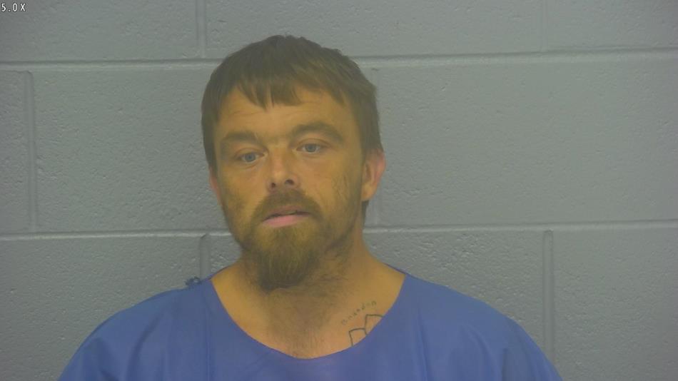 Arrest photo of SHANE CARGLE