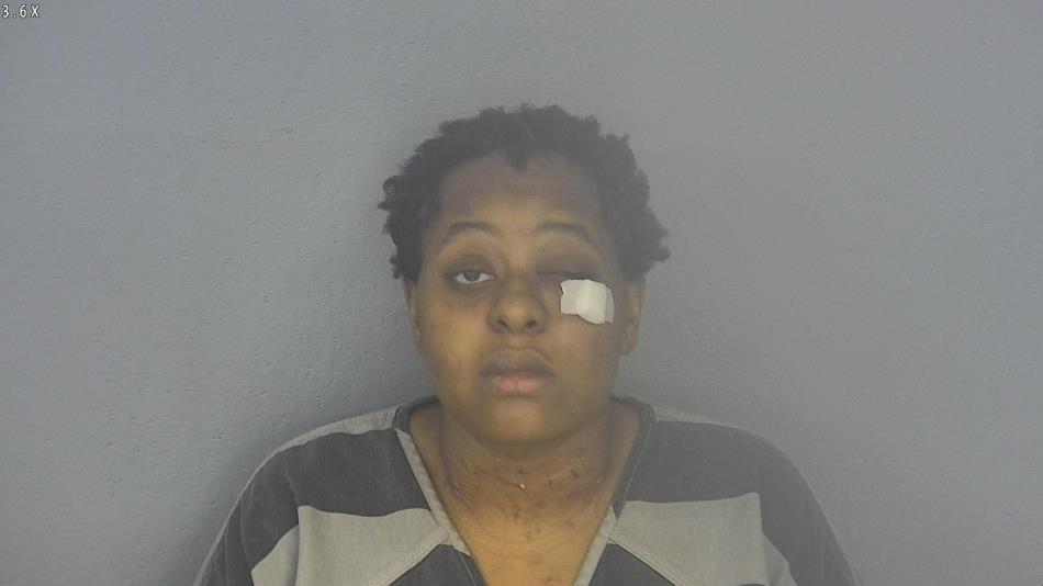 Arrest photo of SHANELLE NEWSON