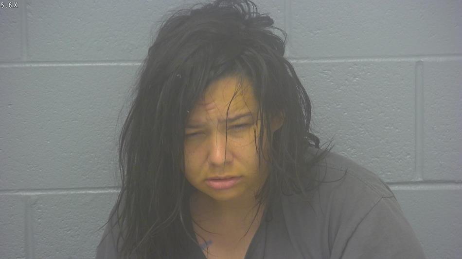 Arrest photo of SHANIA BAUER