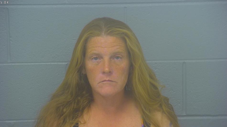 Arrest photo of SHANNA BOSMA