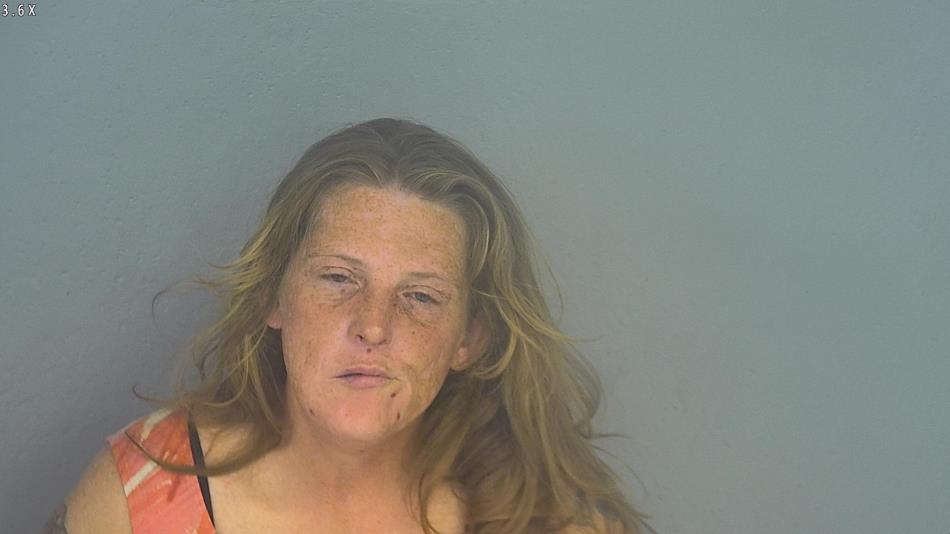 Arrest photo of SHANNA WEYAND
