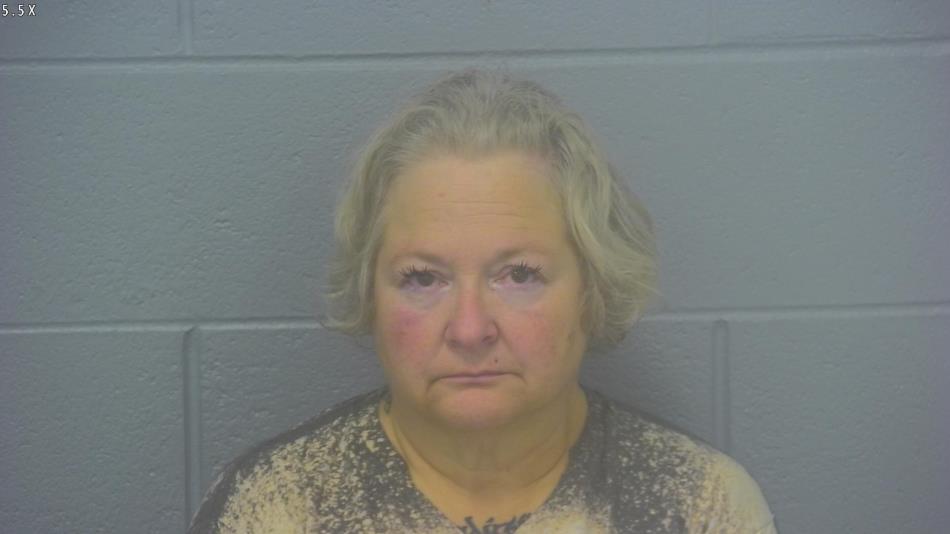 Arrest photo of SHANNON LEE