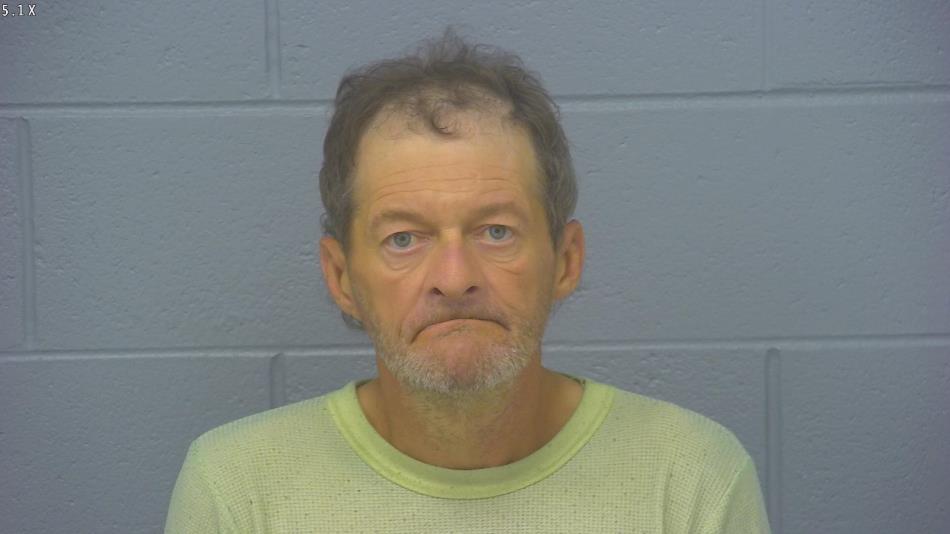 Arrest photo of SHANNON HICKS