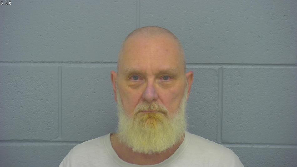 Arrest photo of SHANNON MITCHELL